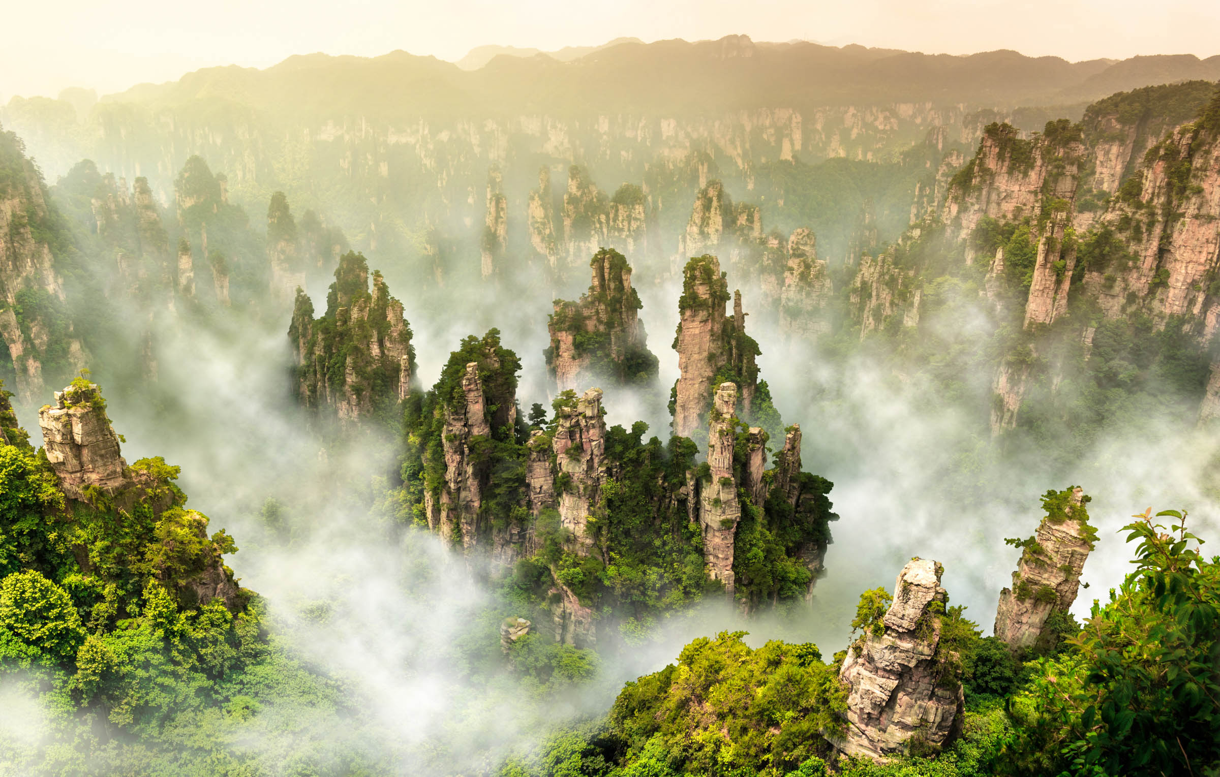 Floating Mountains Avatar Mountains In Zhangjiajie National Forest Park  In The Wulingyuan Scenic Area Hunan Province China Stock Photo Picture  And Royalty Free Image Image 83458216