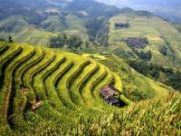 Longsheng (Longji) Rice Terraces, Longsheng